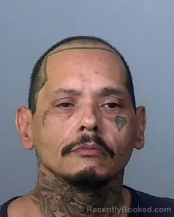 Mugshot of JOSE LUIS VASQUEZ booked in Manatee County, Florida on May 13, 2026