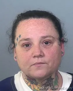 Mugshot of WANDA LEE VILLEGAS booked in Manatee County, Florida on March 30, 2026