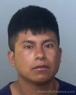 Mugshot of YURIDY VELAZQUEZ ESCALANTE booked in Manatee County, Florida on March 29, 2026