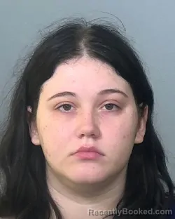 Mugshot of ALYSSA ANNE WARWICK booked in Manatee County, Florida on May 7, 2026