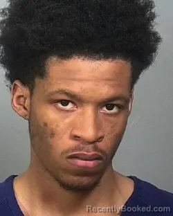 Mugshot of DASANI SAMARI NAJEE WILLIAMS