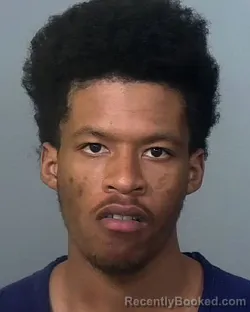 Mugshot of DASANI SAMARI NAJEE WILLIAMS booked in Manatee County, Florida on March 12, 2026