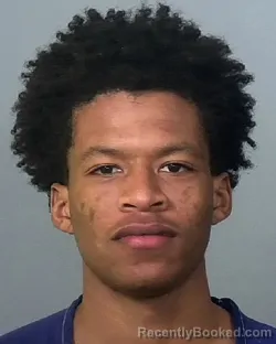 Mugshot of DASANI SAMARI NAJEE WILLIAMS booked in Manatee County, Florida on April 1, 2026