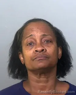 Mugshot of DEANA WATSON WHITE booked in Manatee County, Florida on May 3, 2026