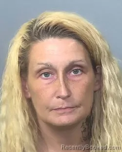 Mugshot of ERICA RAE WHITE booked in Manatee County, Florida on March 25, 2026