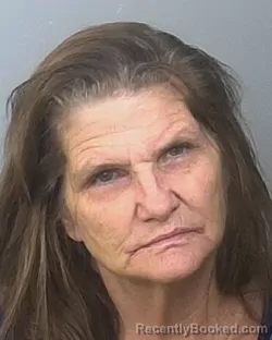 Mugshot of IVY GAYLE WAHNON booked in Manatee County, Florida on March 19, 2026