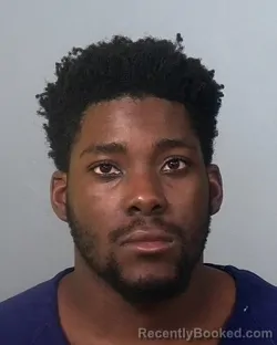 Mugshot of JAIDEN MILTON WILLIAMS