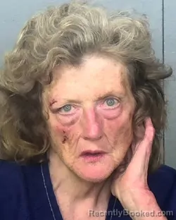 Mugshot of KATHY MITCHELL WALKER booked in Manatee County, Florida on March 31, 2026