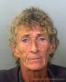 Booking photo from Manatee County, Florida