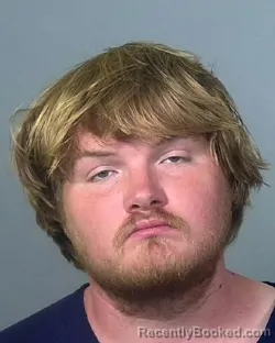 Mugshot of PARKER DAYMON WEBB booked in Manatee County, Florida on March 19, 2026