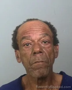 Mugshot of ROBERT LEE WILLIAMS booked in Manatee County, Florida on March 15, 2026