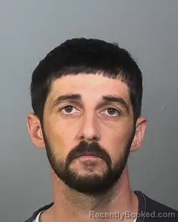 Mugshot of RYAN SCOTT WALLACE