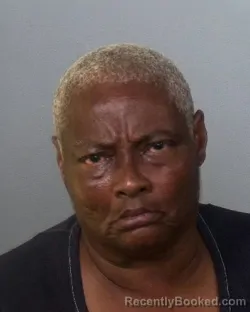 Mugshot of TRACY CLAUDETTE WHITTY booked in Manatee County, Florida on May 13, 2026