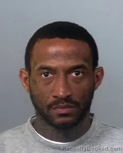 Mugshot of TYON D WOODS