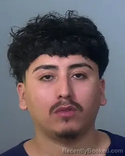 Mugshot of ABRAHAM ZARATE RAMIREZ