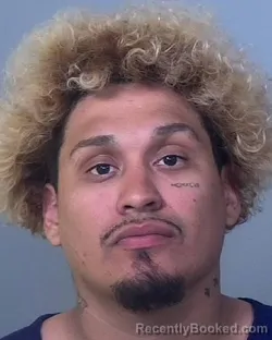 Mugshot of IRAM ZAMBRANO-CRUZ booked in Manatee County, Florida on March 19, 2026