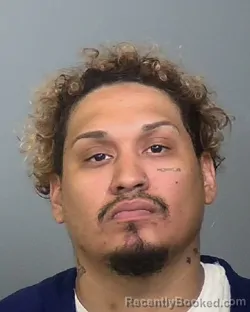 Mugshot of IRAM ZAMBRANO-CRUZ booked in Manatee County, Florida on April 2, 2026