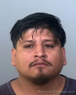 Mugshot of MARCO JUAN ZIMAPAN GUADALUPE