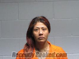Booking photo from Polk County, Texas