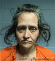 Booking photo from Polk County, Texas