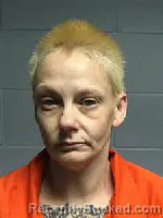 Mugshot of AMANDA ANN CUMMINGS