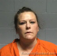 Mugshot of KRISTY LEIGH WHITE booked in Polk County, Texas on March 19, 2026