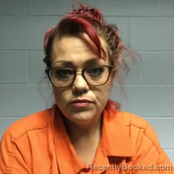 Mugshot of MISTY LYNN DANIELLE LOWRANCE booked in Polk County, Texas on March 19, 2026