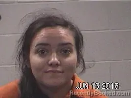 Mugshot of PRISCILLA FAITH KIRSCHKE booked in Polk County, Texas on April 1, 2026