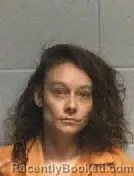 Mugshot of CHELSEA MARIE GEYER booked in Polk County, Texas on April 2, 2026