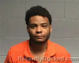 Mugshot of DEVANTE LINEAR WILLIAMS booked in Polk County, Texas on April 24, 2026