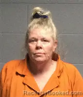 Mugshot of ERIN MICHELE SUTTON booked in Polk County, Texas on May 23, 2026