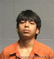 Mugshot of RAMIRO PEREZ booked in Polk County, Texas on May 31, 2026