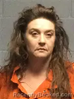 Mugshot of KERI SUMMER TIPPIE booked in Polk County, Texas on June 3, 2026
