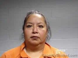Mugshot of BETSY GENIN STAFFORD booked in Polk County, Texas on June 12, 2026