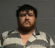 Mugshot of LOGAN SCOTT FERGUSON booked in Polk County, Texas on June 23, 2026