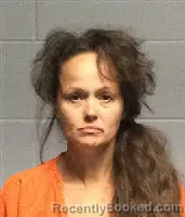 Mugshot of CASSIE MICHEL NORMAN booked in Polk County, Texas on July 8, 2026