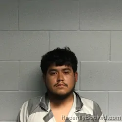 Mugshot of ANDRES FLORES booked in Polk County, Texas on July 20, 2026