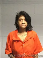 Mugshot of Soleba Maria Torres booked in Polk County, Texas on August 24, 2026
