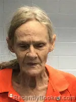 Mugshot of Yolonda Dianne Daigle booked in Polk County, Texas on September 9, 2026
