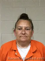 Mugshot of Cindy Mae Haynes booked in Polk County, Texas on September 11, 2026