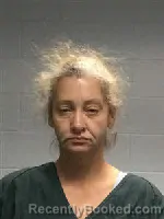 Mugshot of Erin Anton Posern booked in Polk County, Texas on October 8, 2026
