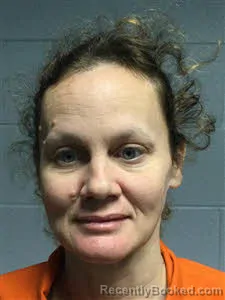 Mugshot of Tracee Amber Tiller booked in Polk County, Texas on October 24, 2026