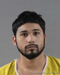 Mugshot of JONATHAN ANDRES RAMON CASTILLO