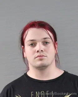 Mugshot of JUSTIN TYLER HANSCOM