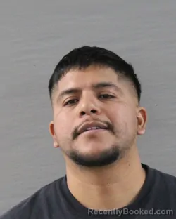 Mugshot of RIGOBERTO MONTOYA