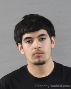 Mugshot of CESAR ALEXIS ALCOCER