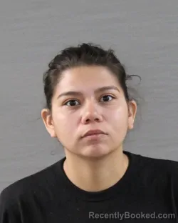 Mugshot of Alissa Mercedes Ramirez booked in Randall County, Texas on August 24, 2026