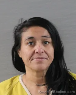 Mugshot of BELINDA ORNELAS ISAIAS