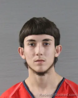 Mugshot of DALTON ELIJAH DAVIDSON