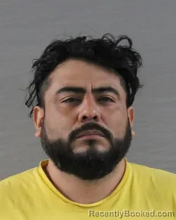 Mugshot of DIEGO HEGELDO
